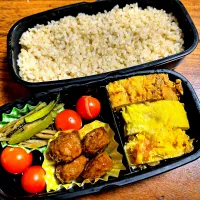 2025/7/20(日) お弁当|naomikaさん