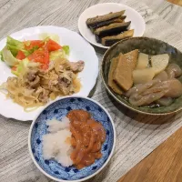 黒はんぺんの冷やしおでん|puniさん