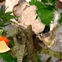 岩牡蠣|マハロ菊池さん