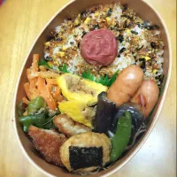 今日のお弁当🍱|みいさん