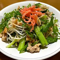 豚🐖肉の野菜炒め❗️(๑╹ω╹๑ )✨|サソリさん