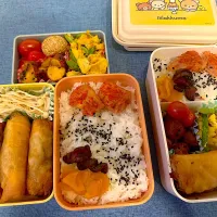 春巻きのお弁当|misaruriさん