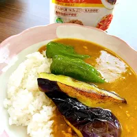 大豆のお肉カレーライス|とっしぃさん