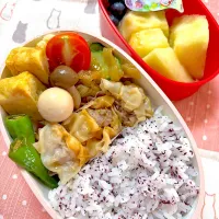 女子中学生お弁当⭐️7/23|ニャオさん