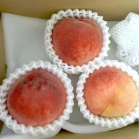 紀の里の桃🍑|ななみんさん
