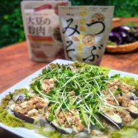 大豆のお肉とナスの水餃子風🥟