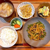 夜ご飯(チンジャオロース、もやしたまご、ポテトサラダ、糠漬け、なめこと油揚げと豆腐の味噌汁)|cocomikaさん