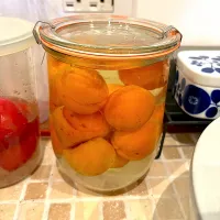 完熟梅の梅酒漬けてみた|pankoさん