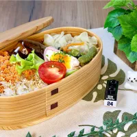 今日のお弁当 25/07/24|しげさん