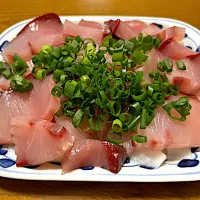 鰤のお刺身❗️(๑･̑◡･̑๑)✨| サソリさん