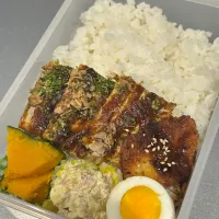 お好み焼きとカツ弁当|Msanさん