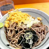 かのやの冷やしそば＠新橋駅| Yasuhiro Koikeさん