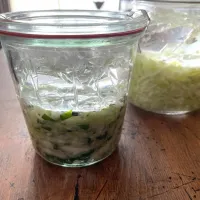 発酵しそキャベツ　実験中|sonokoさん