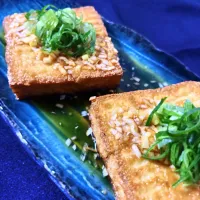 よだれ厚揚げ|オーロラさん