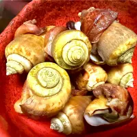 チャンバラ貝|Food is lifeさん