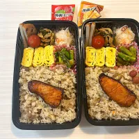 今日のお弁当🍱|Mikanさん