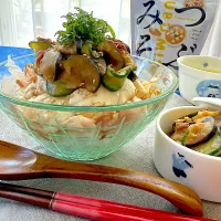 茄子と胡瓜の梅味噌〜豆腐丼