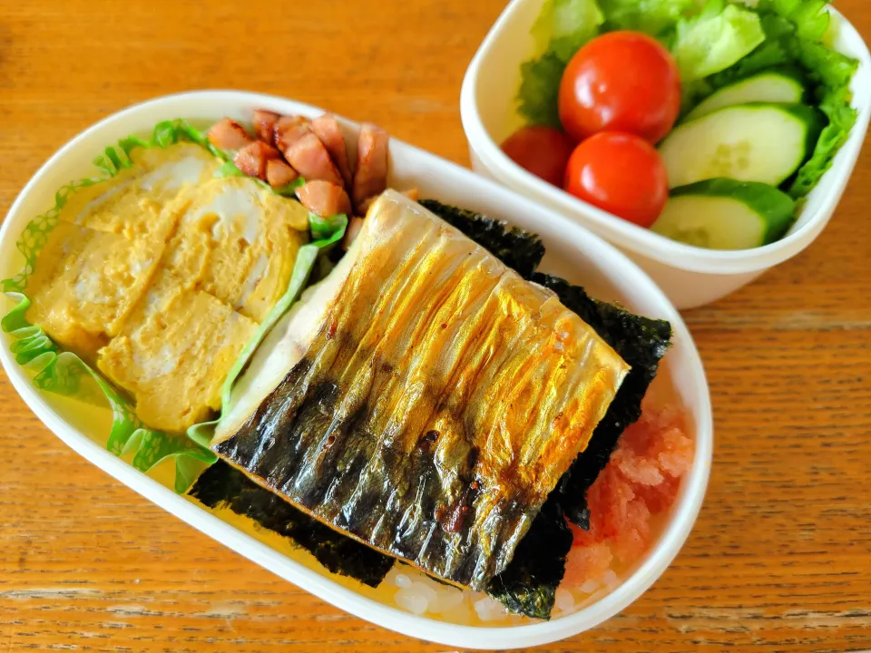 本日の息子弁当|まめすけさん