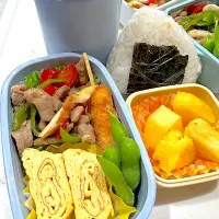 今日のお弁当|みずなさん