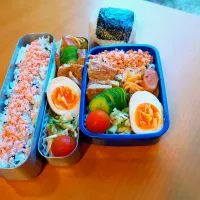 次男・私弁当&おにぎり| tamagomagomagoさん
