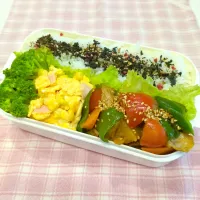 豚肉夏野菜炒め弁当♥| みちゅあしさん