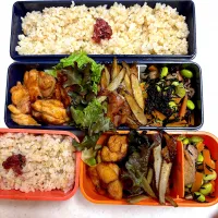 今日のお弁当|Victoryageさん