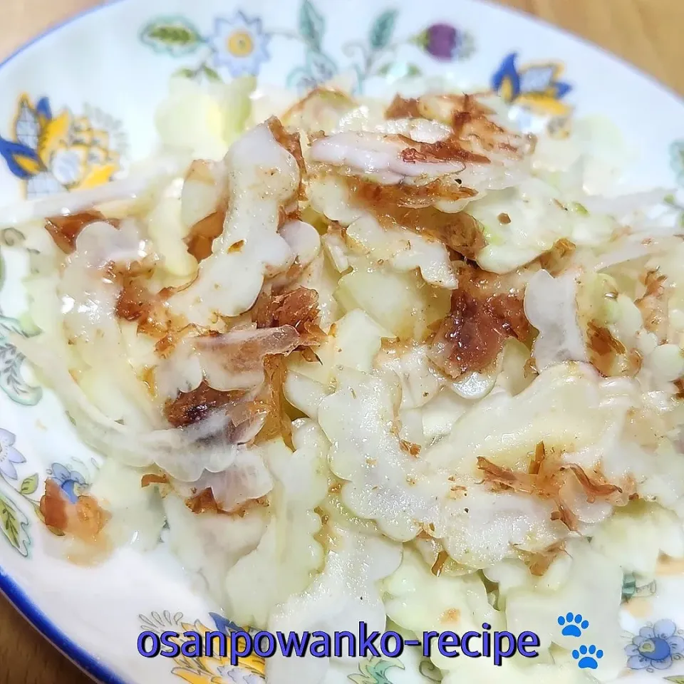 白ゴーヤのサラダ|osanpowankoさん