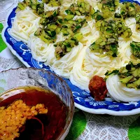 ダシ乗っけ納豆そうめん| Yuko Kobayashiさん