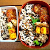 ひじきご飯弁当|Dayuuさん