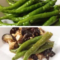 「甘長と茄子のチャンプルー」
甘長とうがらし🌶️10本に1本は
辛いよね(^^)  茄子と豚肉と豆腐と
合わせて チャンプルー
泡盛と 一緒に 晩酌スタート💦|ばくあんしゃさん