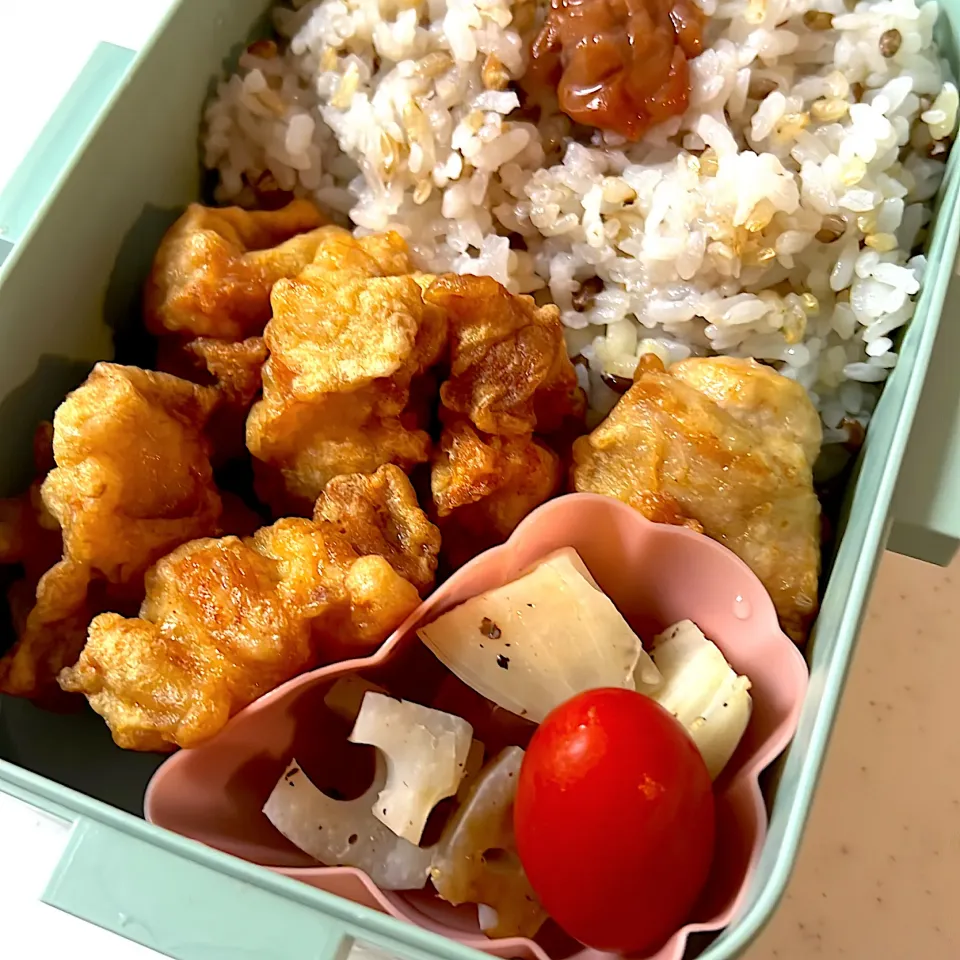 唐揚げ弁当|あおさん