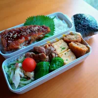 次男弁当&おにぎり|tamagomagomagoさん