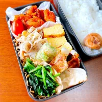 お弁当|teritamagoさん