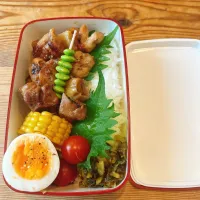 ◇本日のお弁当|ロミさん