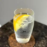 氷レモンとジン・ソーダ