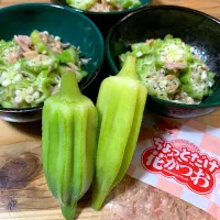 |パオパオあつこさん