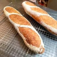 バゲット🥖|ne-neさん
