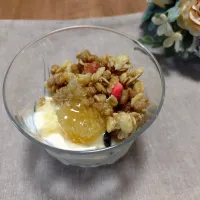 巣蜜×グラノーラ×ヨーグルト|うまゆにさん