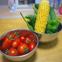 夏野菜がたくさん|あやさん