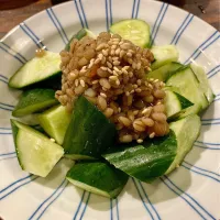 もろキュー🥒|Kojiさん