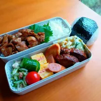 次男弁当&おにぎり|tamagomagomagoさん