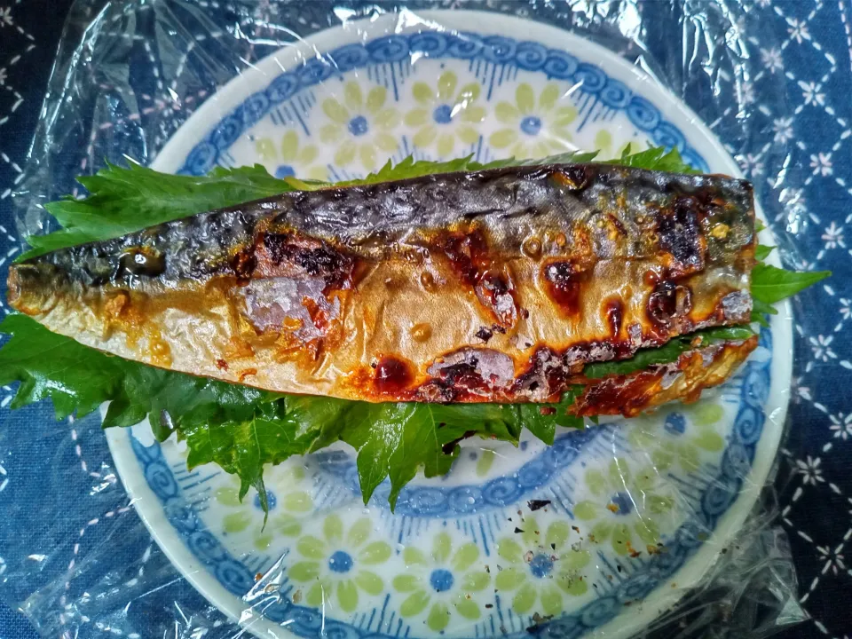 焼鯖寿司|よっちびやばんぶーさん