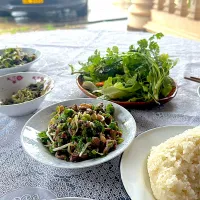 ラオス伝統料理ラープ|あべたかひろさん