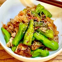 「豚肉とシシトウのナンプラー炒め」
冷やし素麺と常備菜を添えて
昼ごはん💦|ばくあんしゃさん