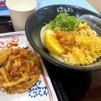 おろし醤油うどん|はっちぃさん