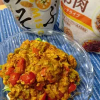 ヘルシートマトカレー|setuさん