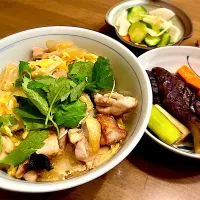 親子丼と野菜の煮浸し|リフルシャッフルさん