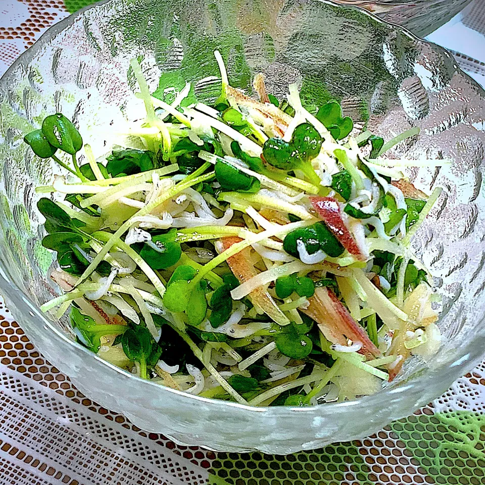 貝割れ新生姜シラス和え|Yuko Kobayashiさん