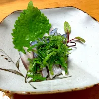 〆さば 庭のシソと唯一ベビーリーフだったルッコラ添えて🐟|🐈⸒⸒⸒⸒つるのダンス🐈🐾さん