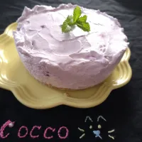 ブルーベリーレアチーズケーキ✨